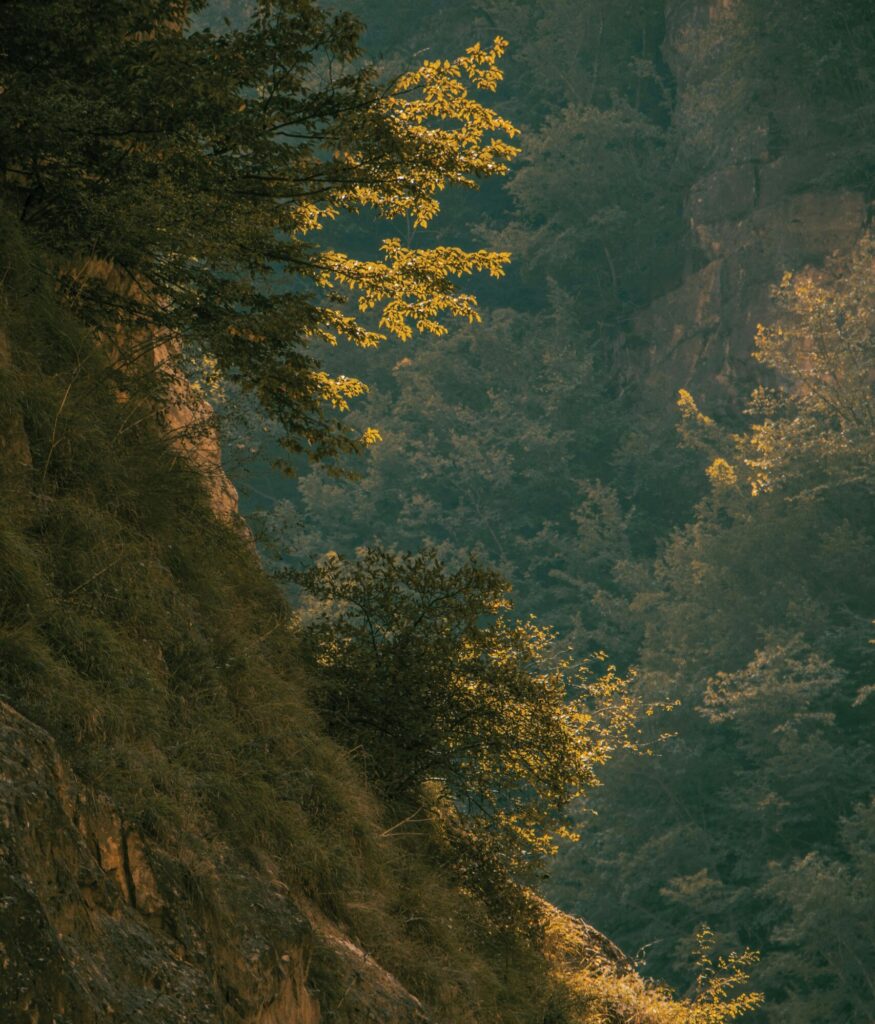 Serene view of cliffs and lush vegetation, showcasing natural beauty in Chalus, Iran.